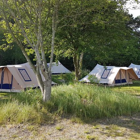 Ameland Tentenverhuur Нес Екстер'єр фото