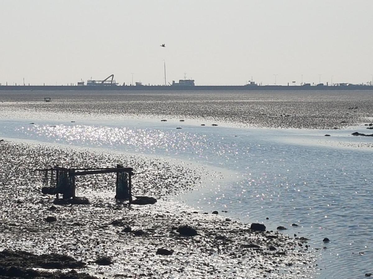 Ameland Tentenverhuur Нес Екстер'єр фото